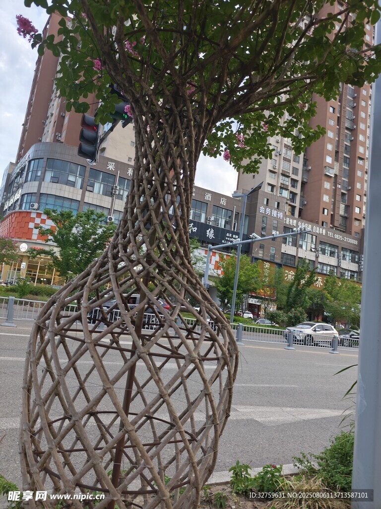 花瓶造型綠植