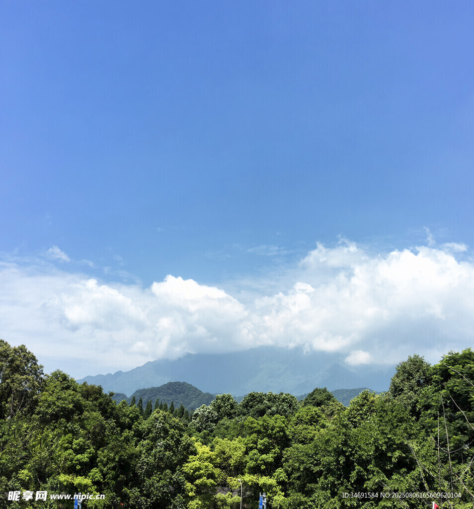 青山藍(lán)天間的蔥郁森林