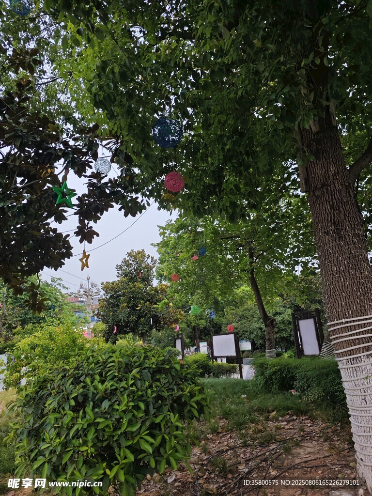 綠樹成蔭的戶外景致