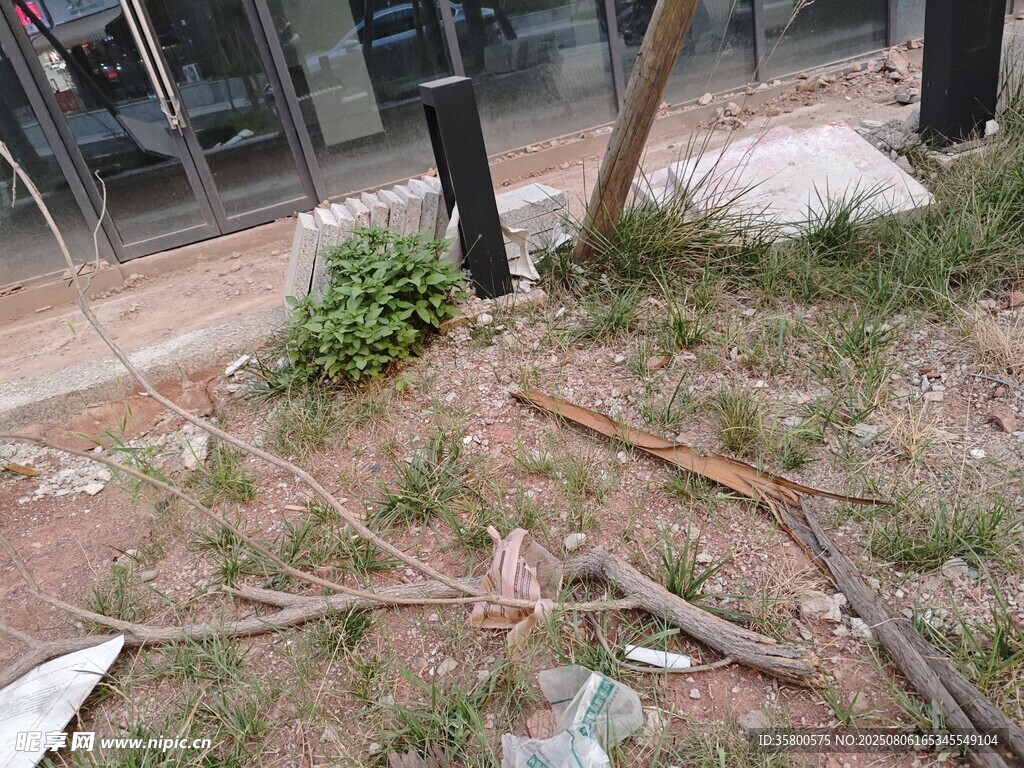 街邊雜亂的綠化與廢棄物