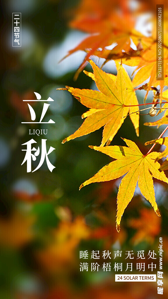 立秋時節(jié)的絢爛秋葉