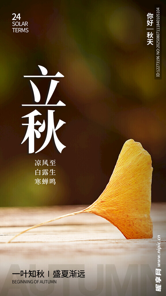 立秋時節(jié)的金黃玉米