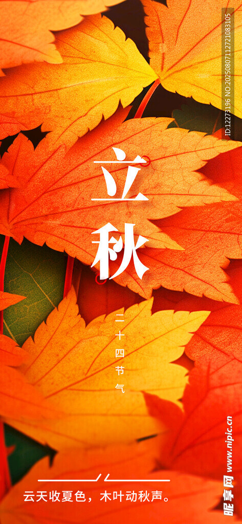 立秋時節(jié)楓葉美