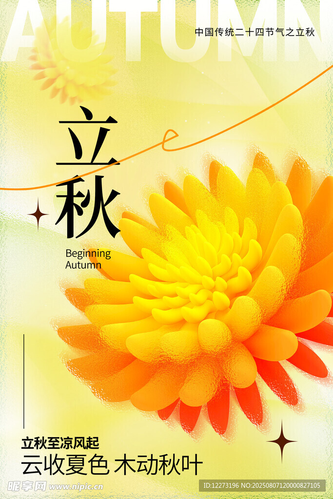 立秋時(shí)節(jié)綻放的燦爛菊花
