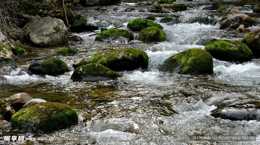 山間溪流中的青苔石塊