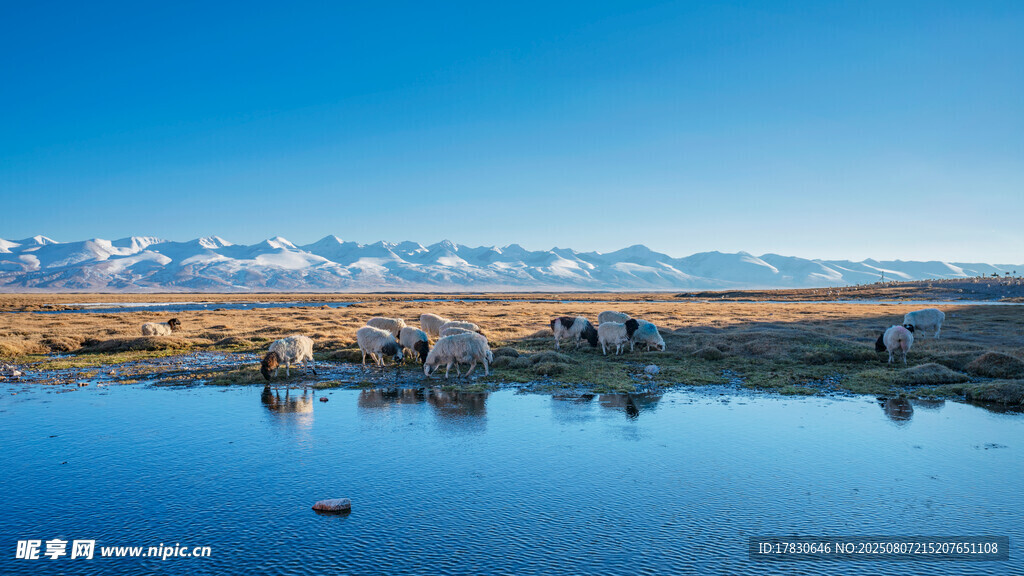 湖畔雪山美景