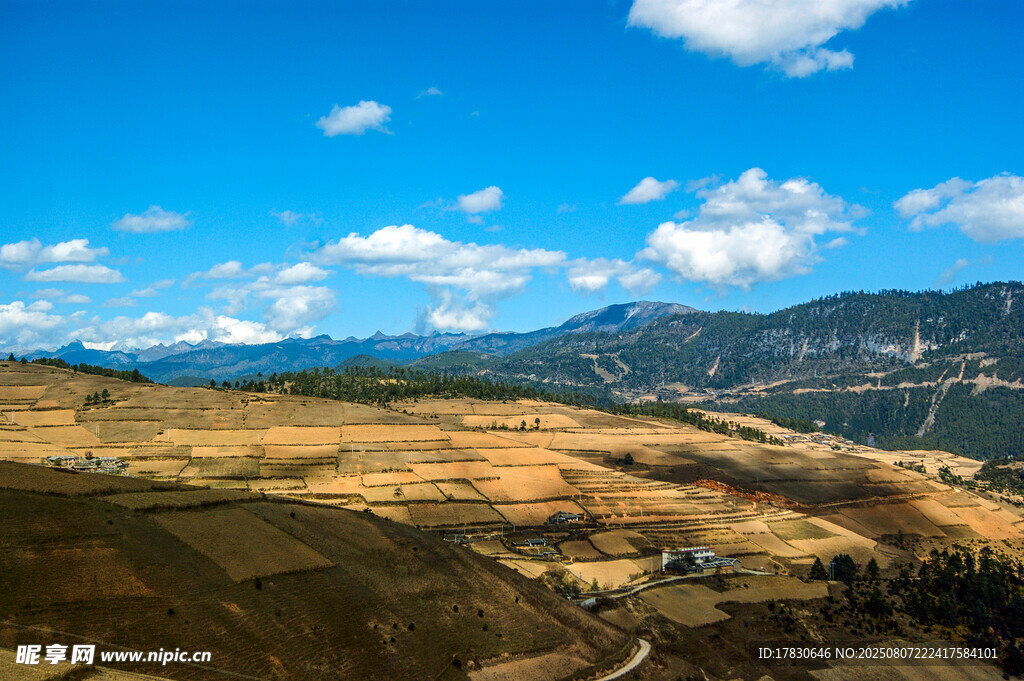云南香格里拉藏區(qū)草原高山平原