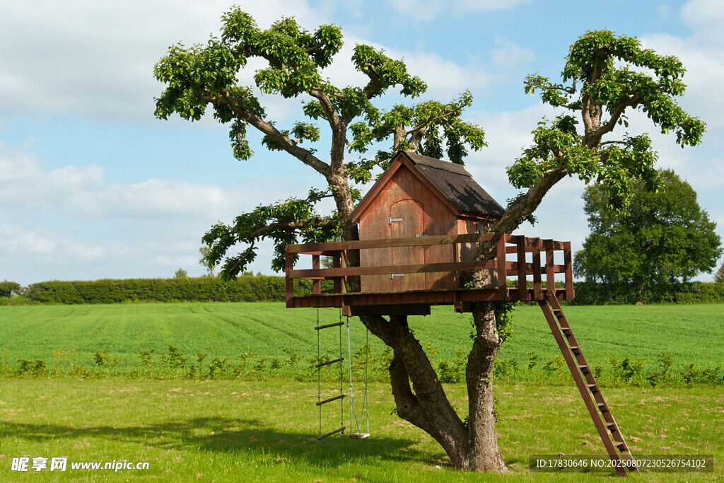 田園風(fēng)樹上小屋
