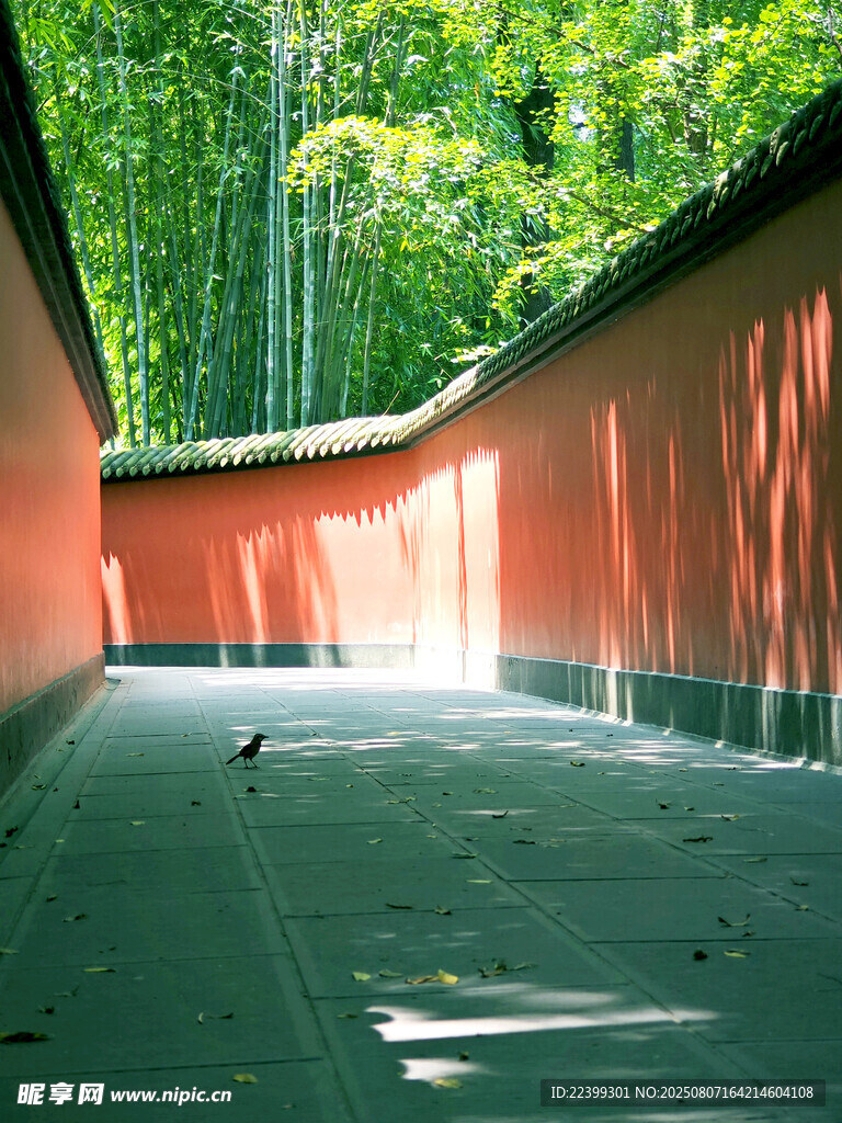 紅墻竹林間的清幽小徑