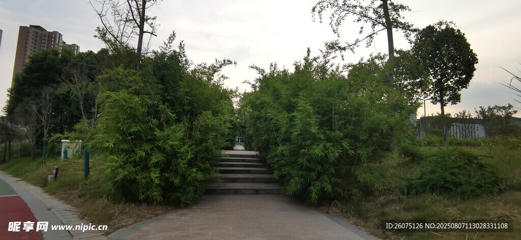 城市中竹林環(huán)繞的幽靜小路