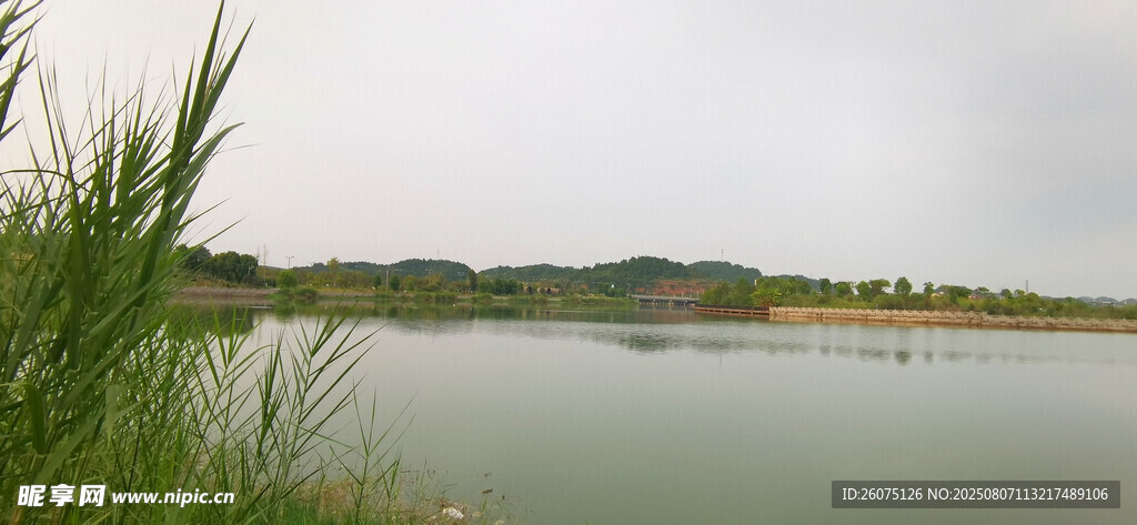 湖畔風光綠意盎然