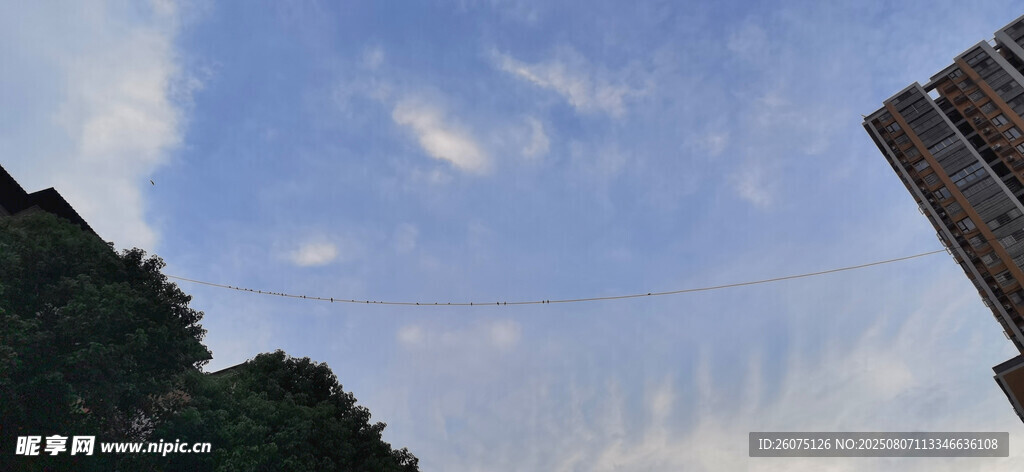 仰視天空與建筑景觀