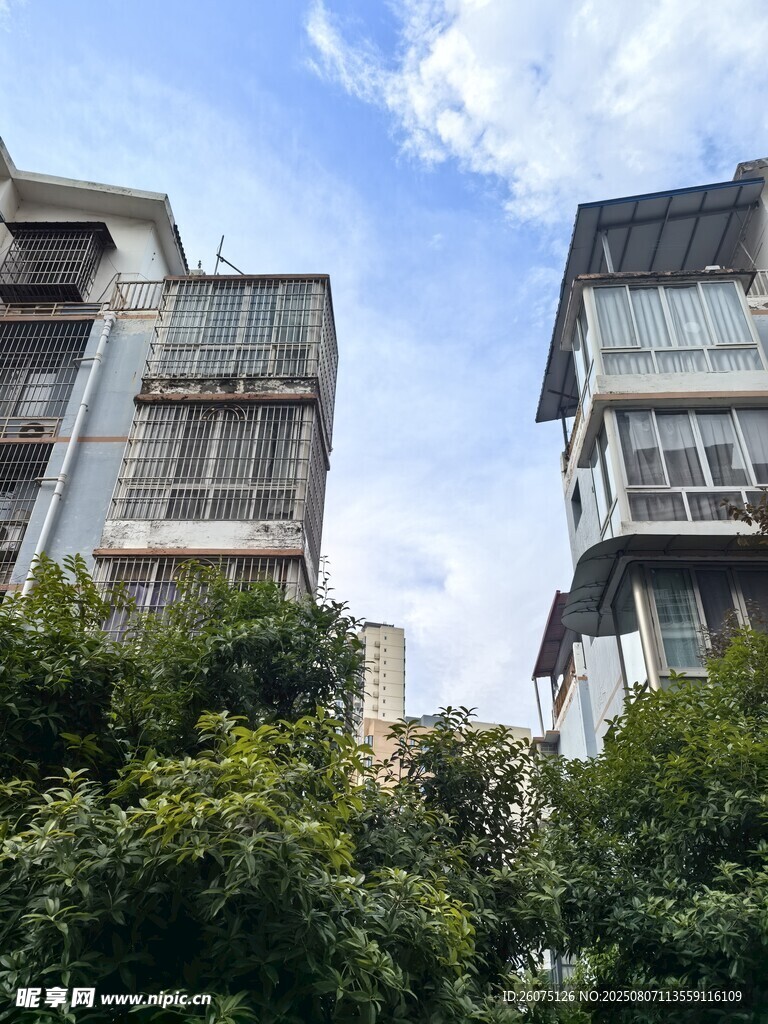 居民樓間綠樹(shù)藍(lán)天景象