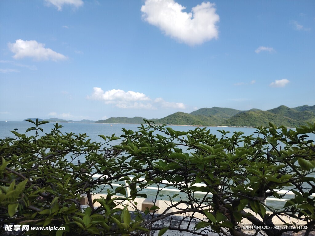 海邊綠植與藍(lán)天白云海景