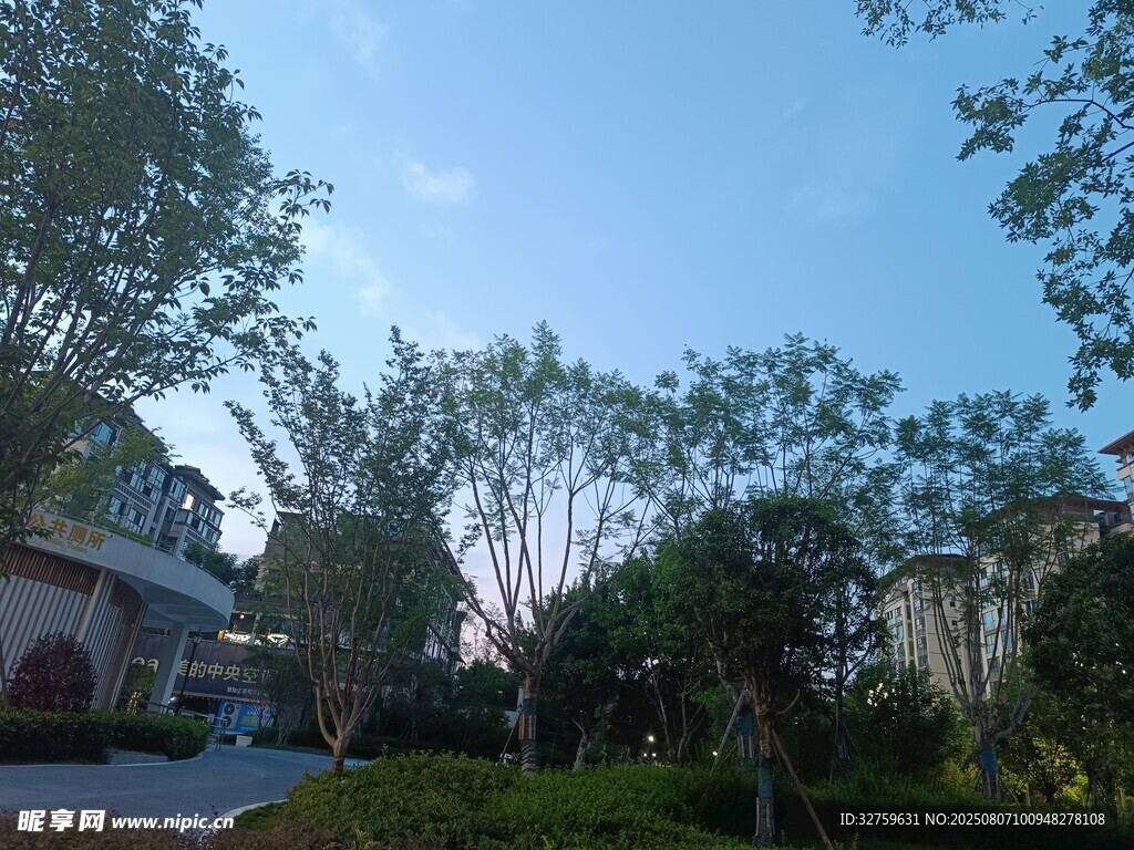 小區(qū)綠意盎然的景觀一角