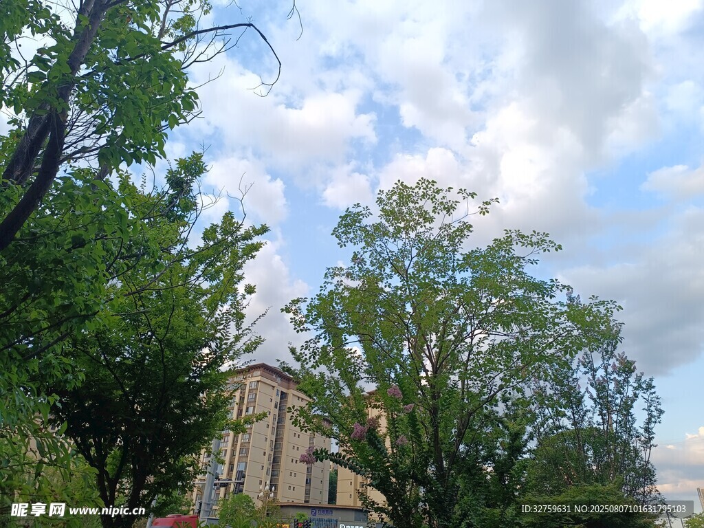 綠樹環(huán)繞的美麗建筑