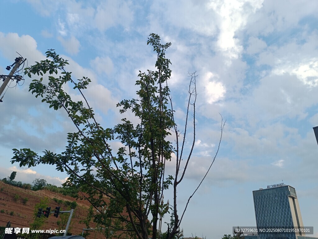 藍天白云下的綠樹與建筑