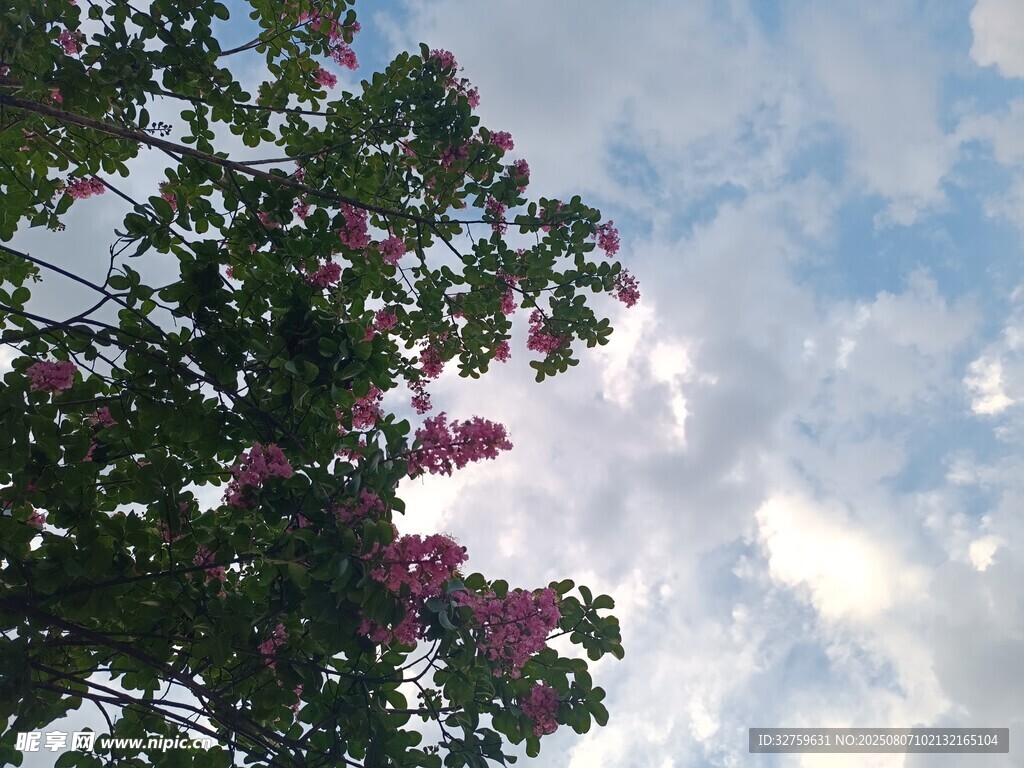 藍(lán)天白云下的繁花綠樹