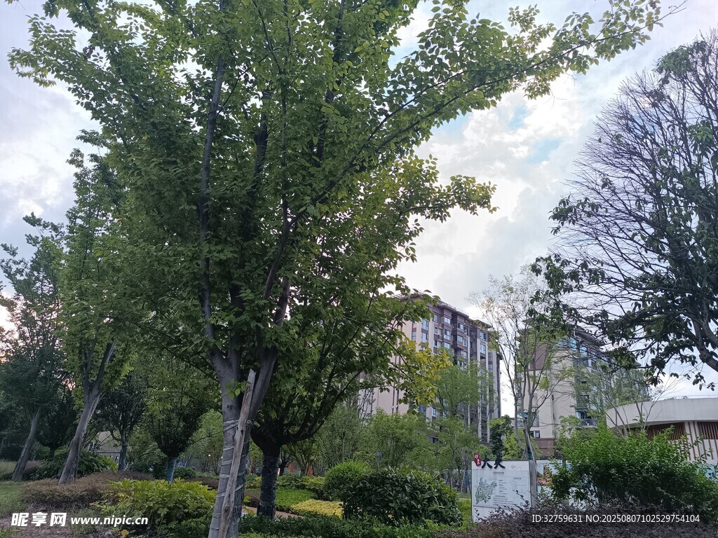 戶外綠樹(shù)與建筑景觀