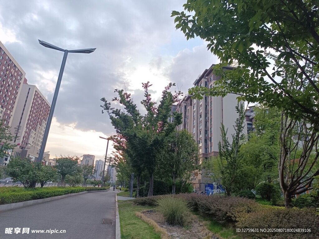 城市中的林蔭道路景觀