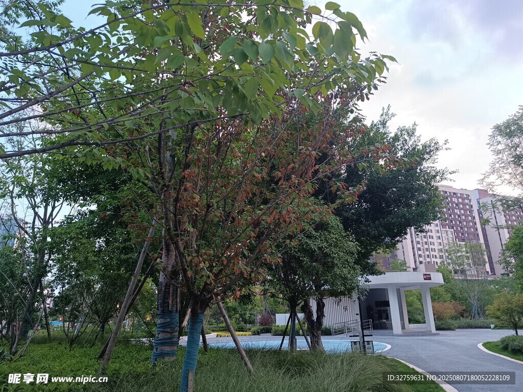 公園綠樹環(huán)繞的幽靜小徑