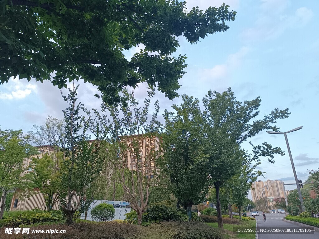 綠樹(shù)環(huán)繞的街邊建筑