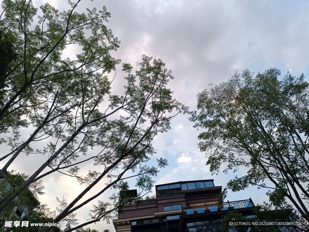 樹林間的建筑景觀