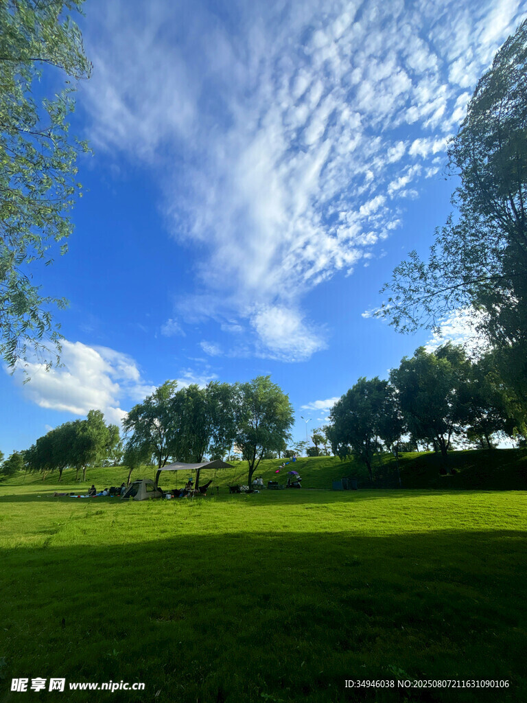 藍(lán)天綠地間的清新自然景