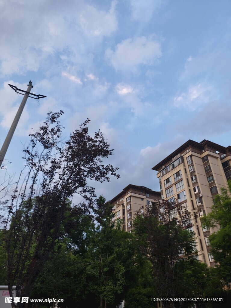 城市中高樓與綠植相映