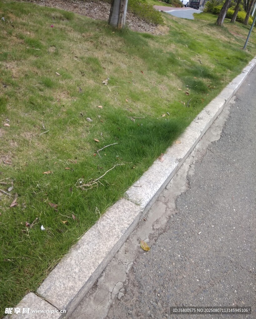 路邊草地與石砌路緣