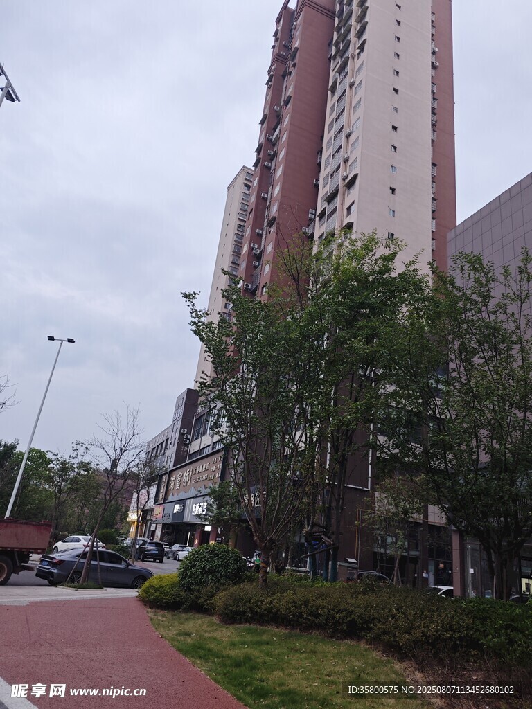 城市街道旁的高樓與綠植