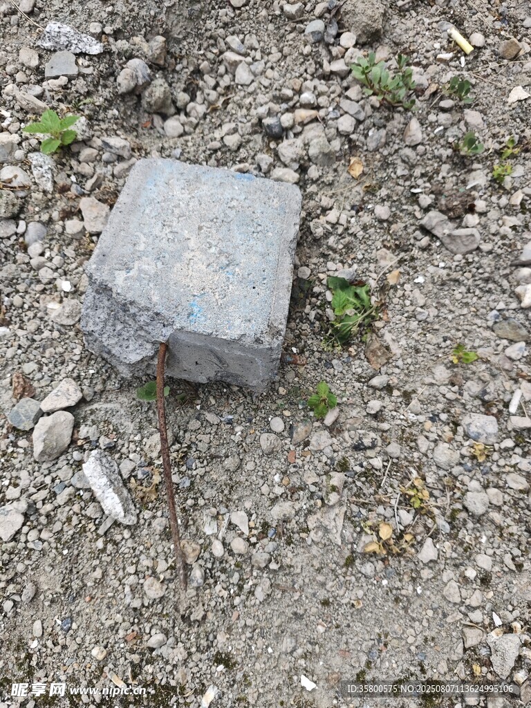 地面上的灰色石塊