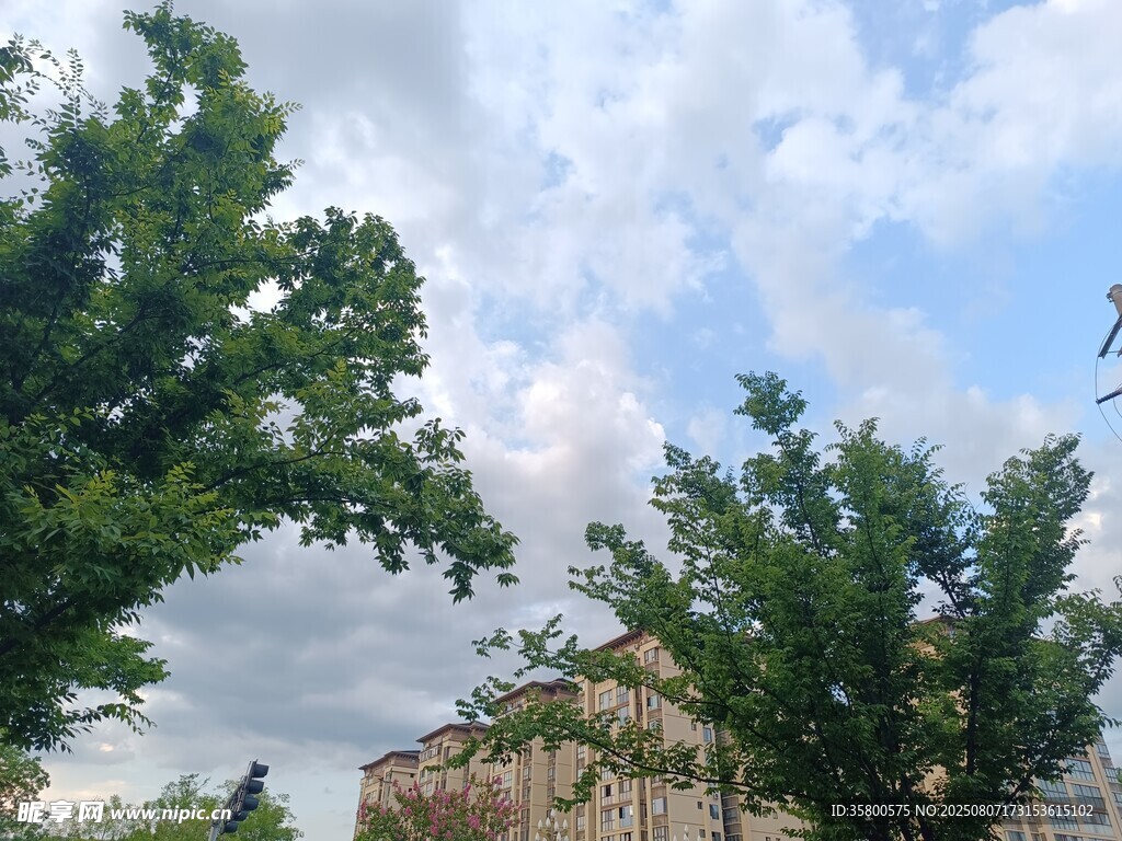 藍(lán)天白云下的綠樹與巖石