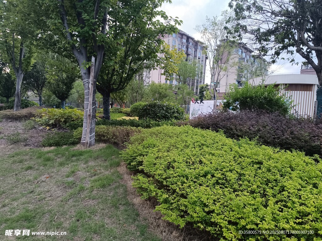 城市中的綠植景觀