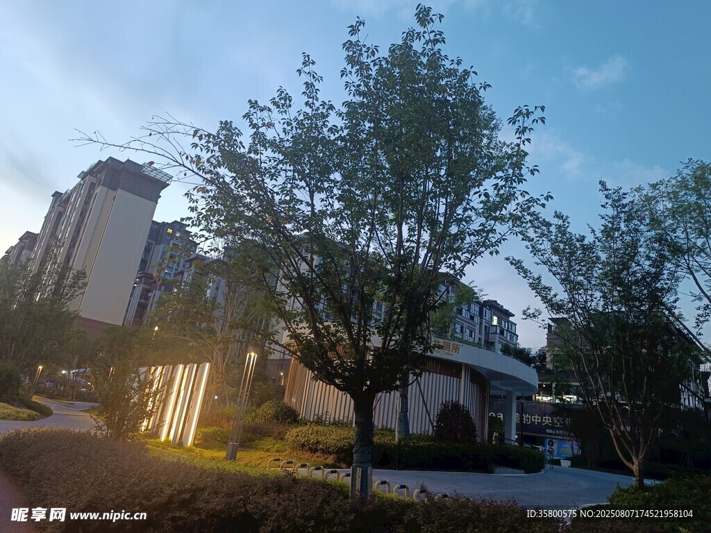 小區(qū)內(nèi)的綠樹與建筑景觀