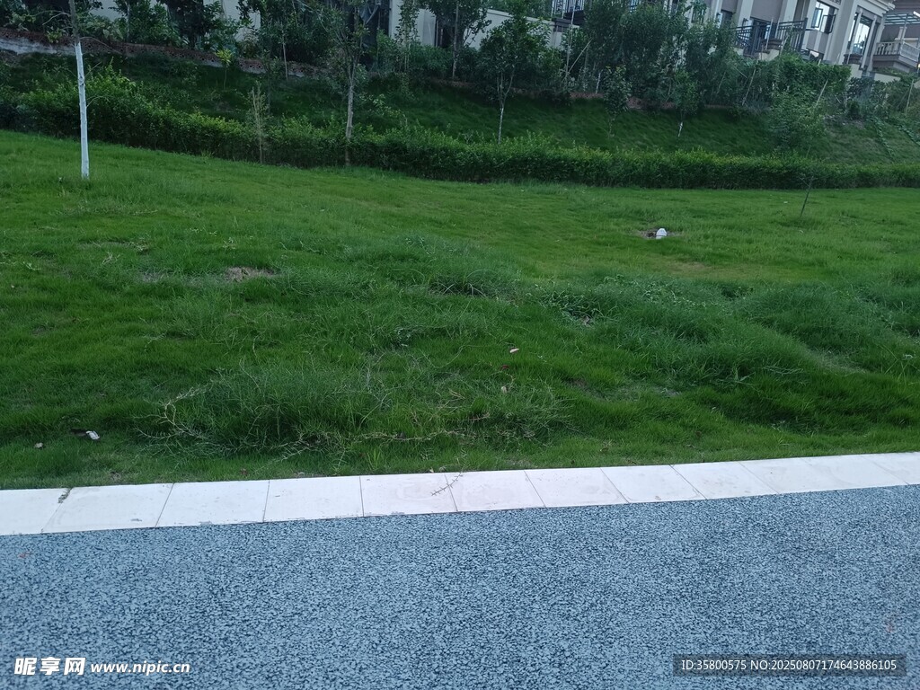 路邊翠綠草坪景觀