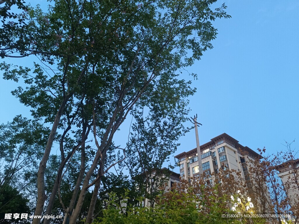 綠樹(shù)環(huán)繞的山間建筑