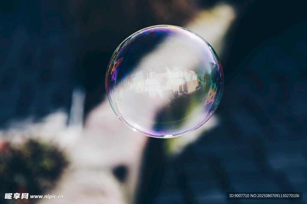 陽光下的夢幻透明泡泡