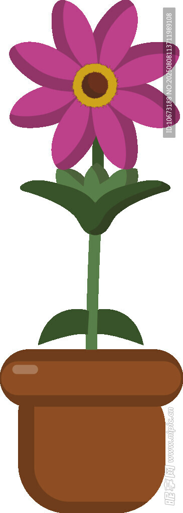 花盆中的紫色花朵