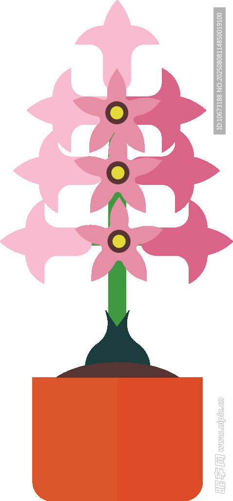 粉色盆栽花