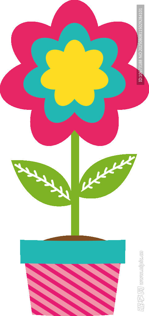 彩色花盆中的可愛(ài)花朵