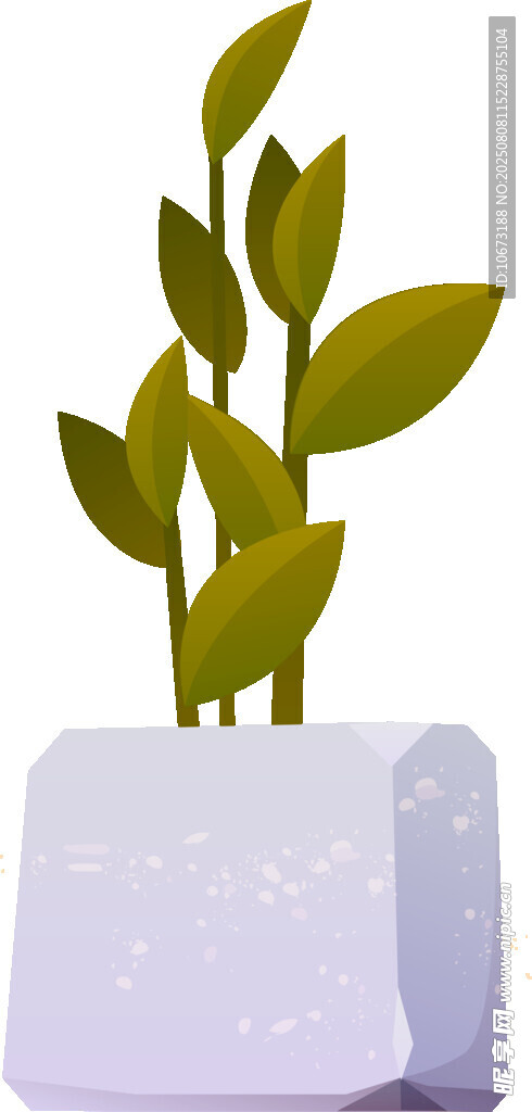 白色花盆中的嫩綠植物