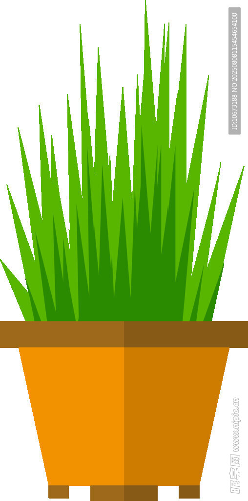 盆栽綠草