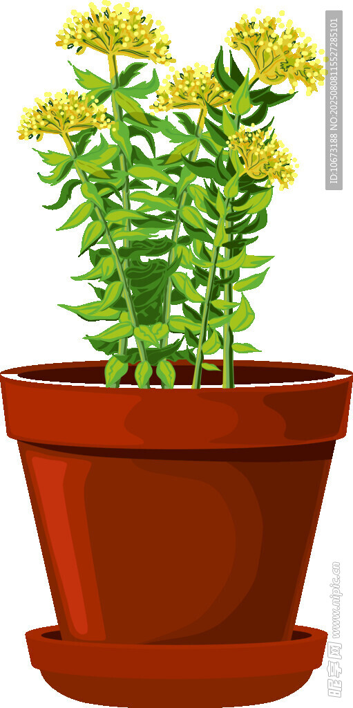 盆栽綠植生機盎然