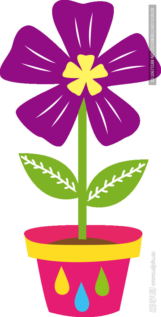 花盆中的紫色花朵