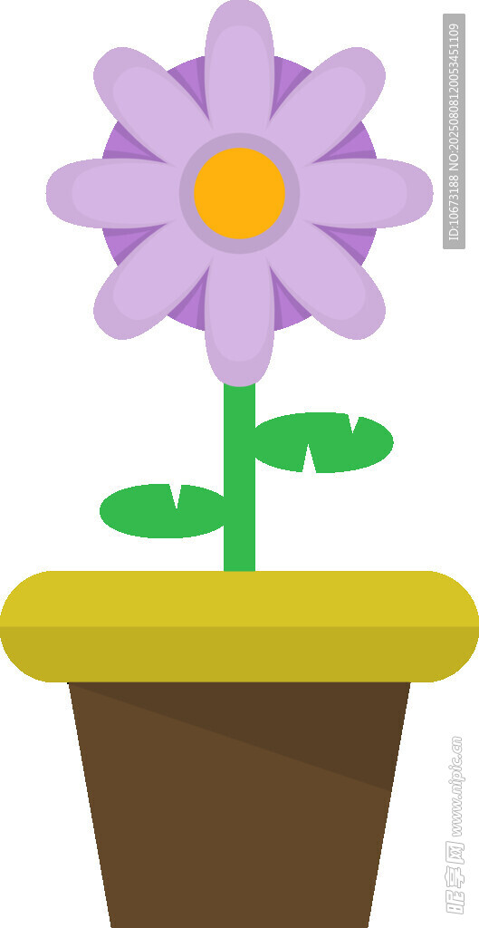 紫色盆栽小花