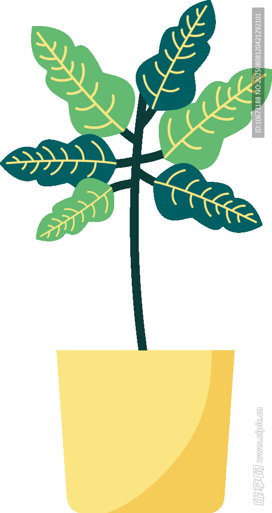 盆栽綠植