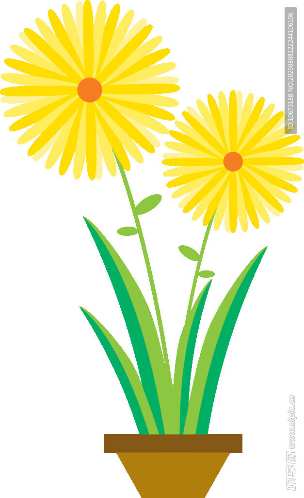 盆栽雛菊插畫