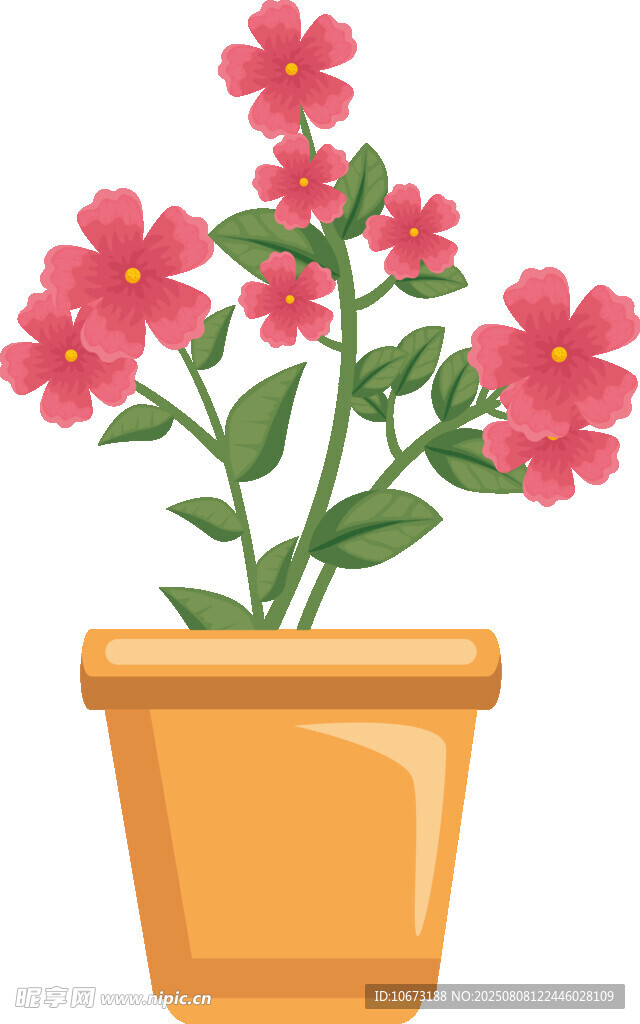 花盆中的粉色花卉