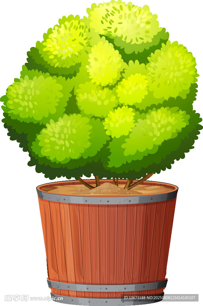 盆栽綠植